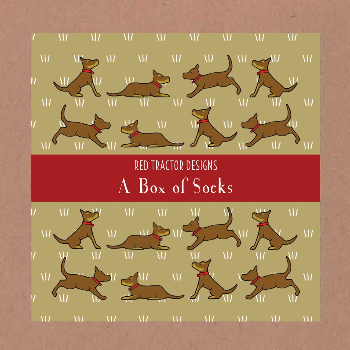 Sit Stay Dogs Box Of Socks Clevedon Woolshed sit-stay-dogs-box-of-socks-clevedon-woolshed