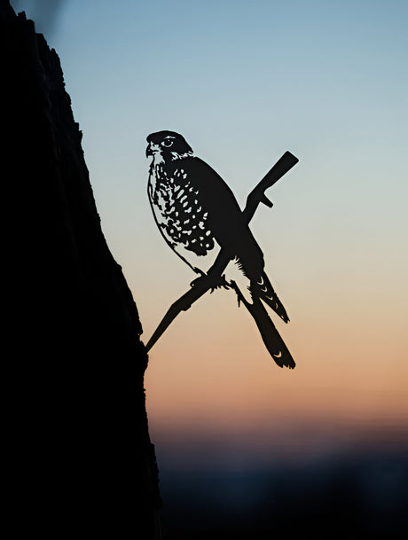 Karearea Falcon Metalbird