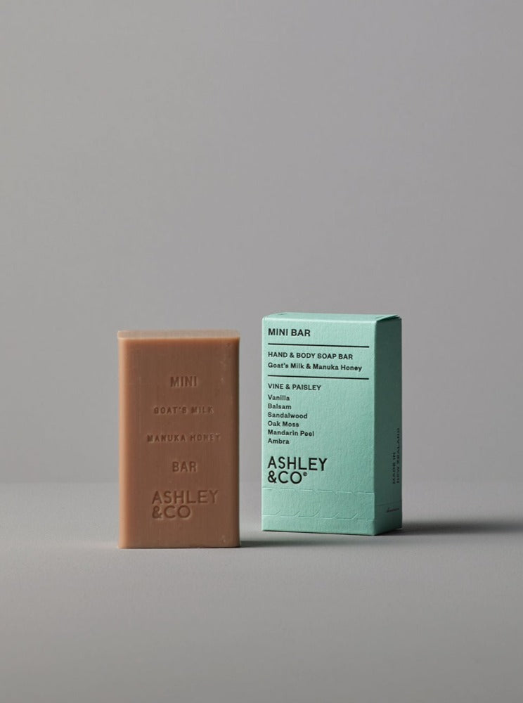 Ashley & Co Mini Bar Vine & Paisley