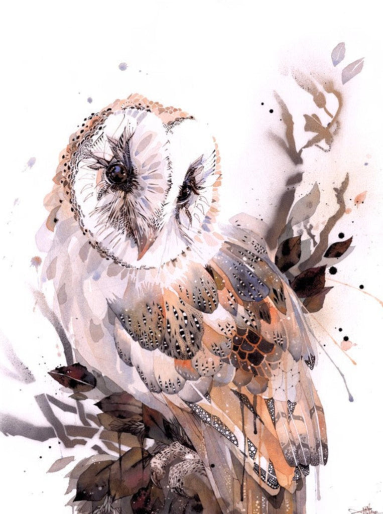 Barn Owl by Rachel Walker