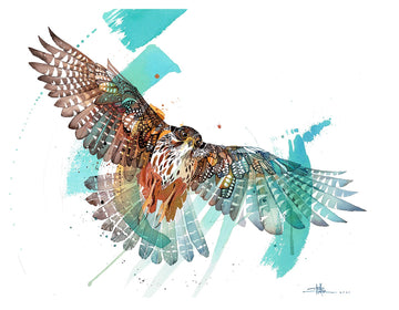 Rachel Walker Blue Sky Falcon
