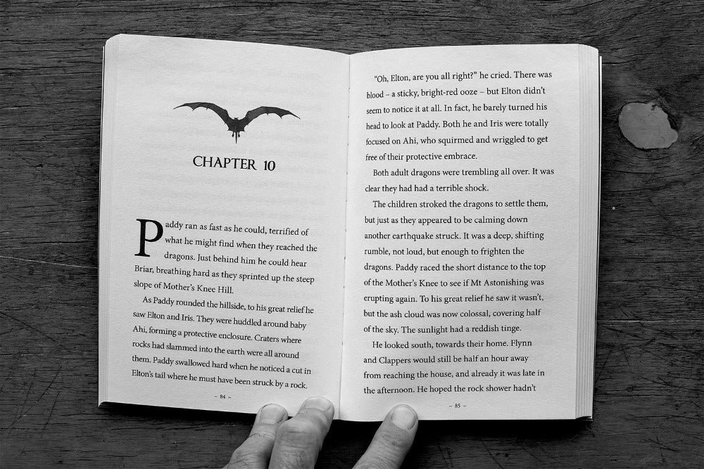 Dragon Defenders - all is lost Book 4 by James russell