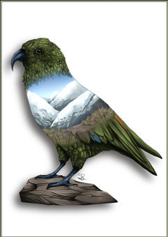 Kea Print by NZ artist Sophie Blokker
