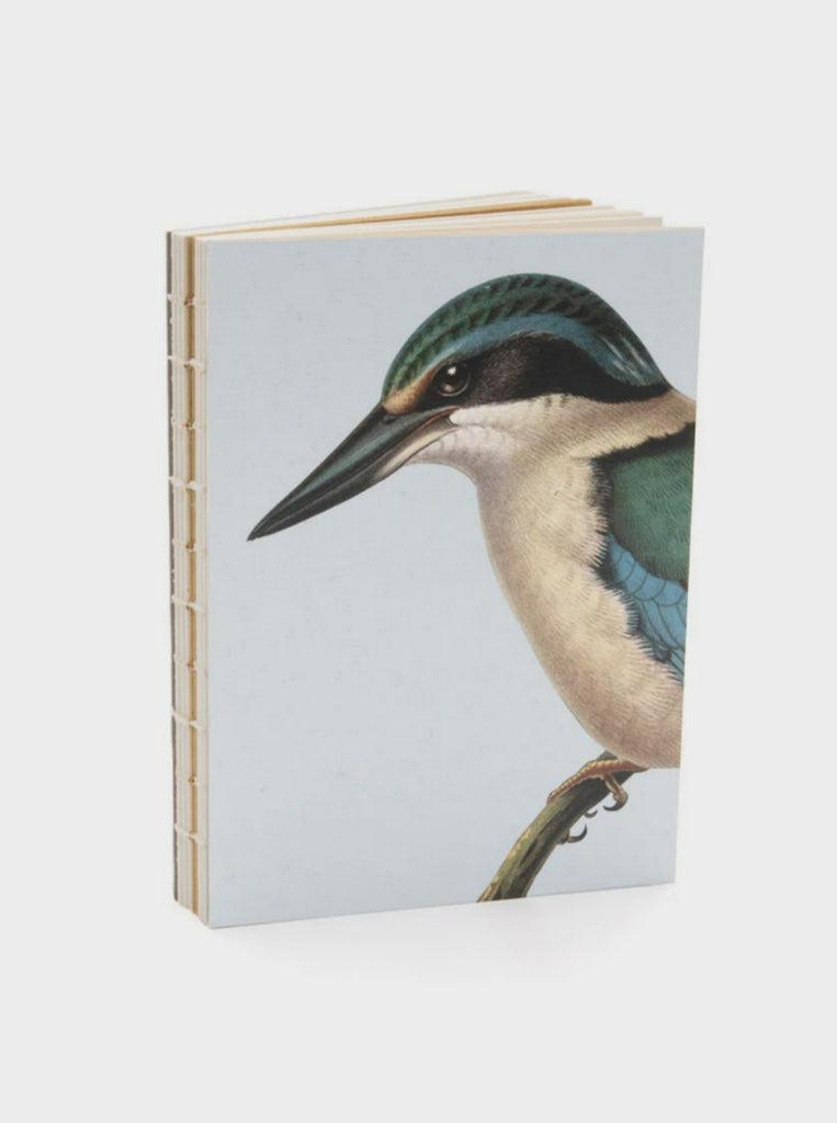 Blue Kingfisher Notebook