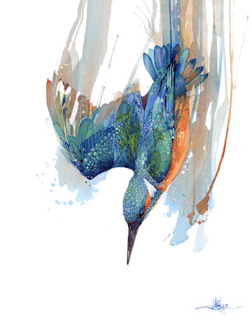 Kingfisher Dive by Rachel Walker Limited edition print