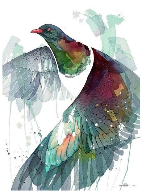 Rachel Walker Watercolour Wing Kereru