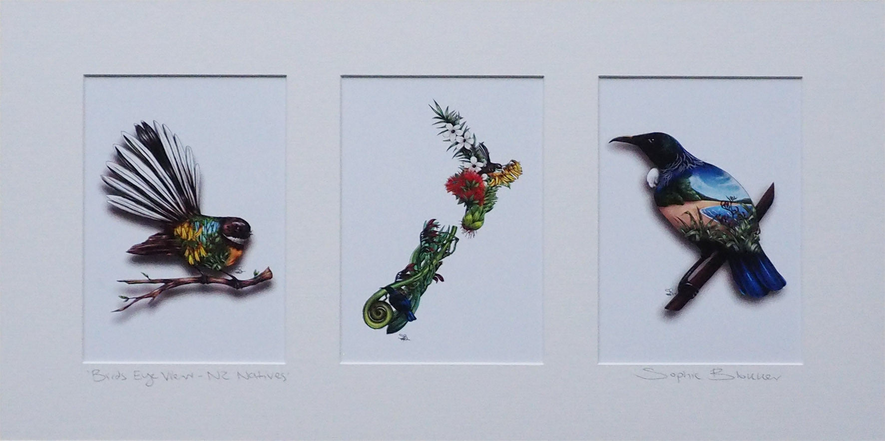 Sophie Blokker Art Prints Native NZ Birds and NZ Map Triptych