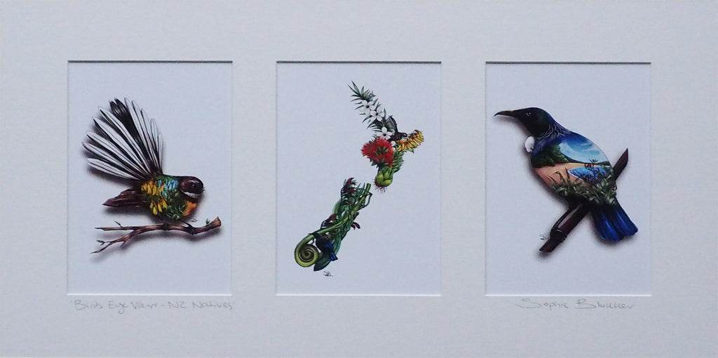 Sophie Blokker NZ Art Native Bird and NZ Map Triptych Print
