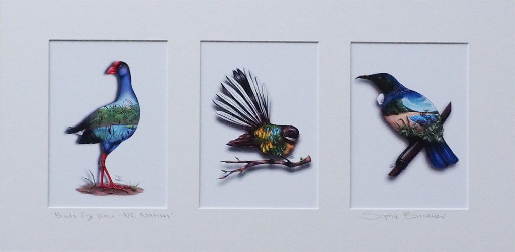 Sophie Blokker NZ Native Bird Print Triptych - Pukeko, Fantail, Tui