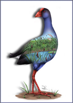 Sophie Blokker Pukeko Native NZ bird Limited edition print