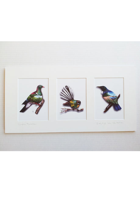 Sophie Blokker Trio - Kereru Fantail Tui