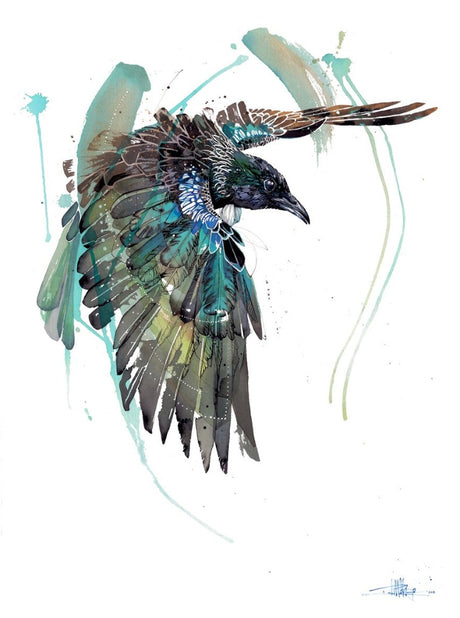 Rachel Walker Tui On The Wing