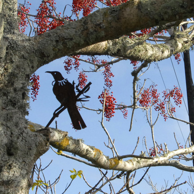 Tui Metalbird NZ